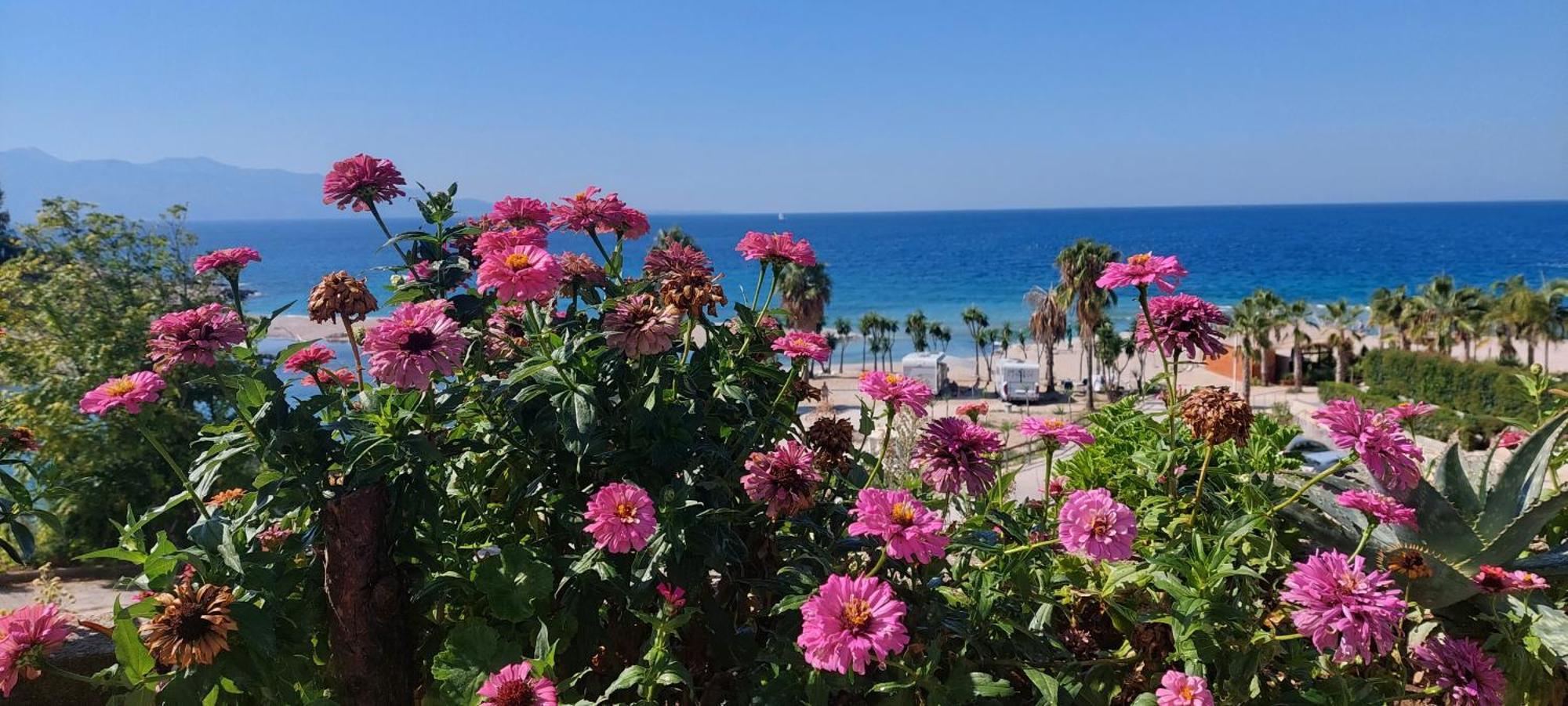 Apartment Tinka In Saranda 外观 照片